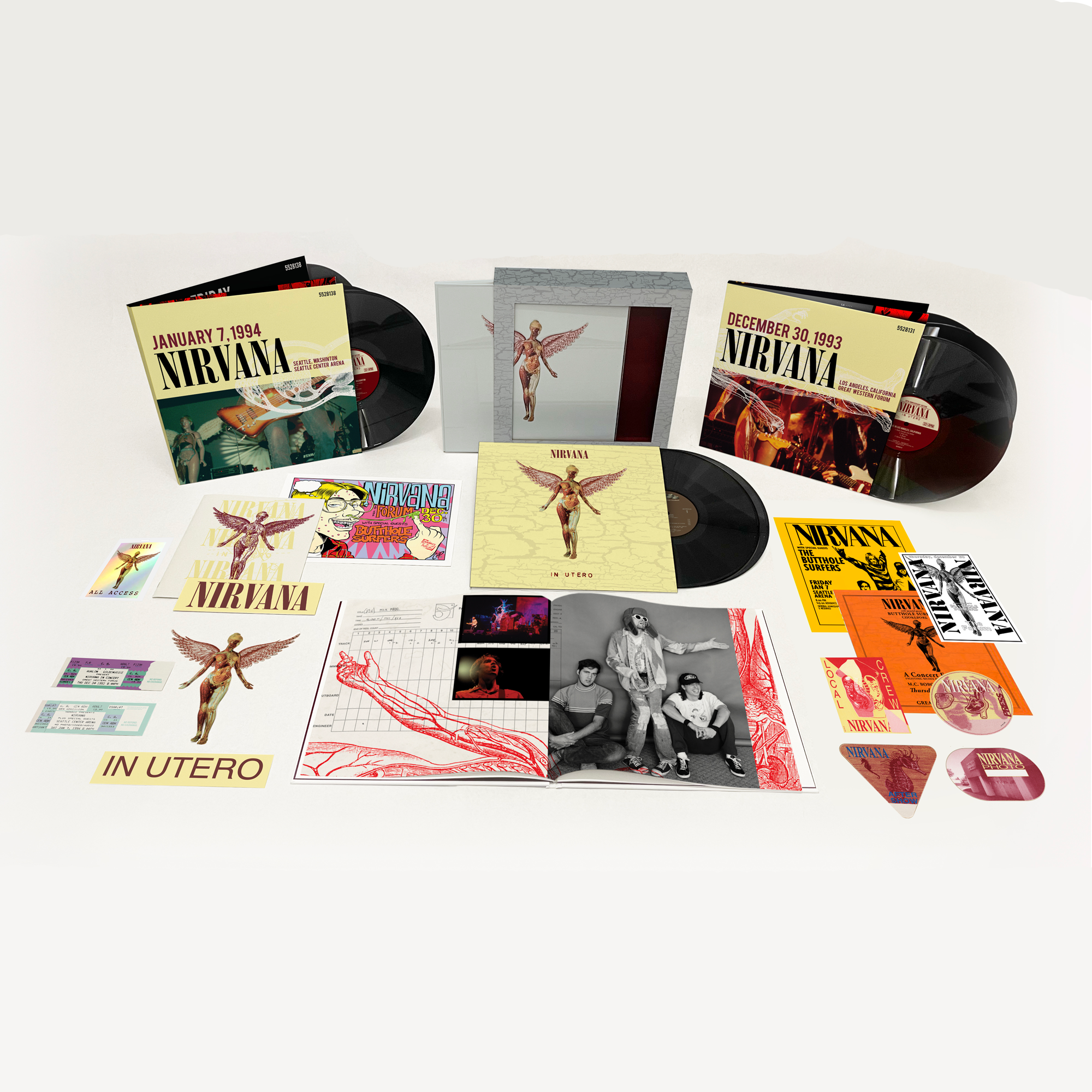 Nirvana In Utero ゴールドディスク In Utero (30th Anniversary): Super Deluxe 8LP Box Set - Polydor