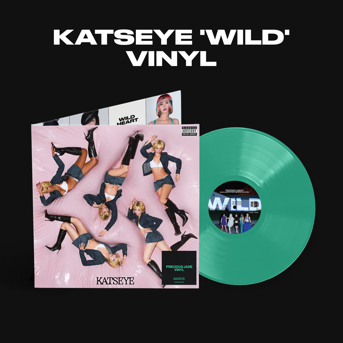 WILD Vinyl + Signed Art Card