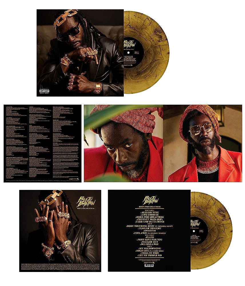 Born For Greatness: Limited Smokey Marble Vinyl LP - Polydor Store UK